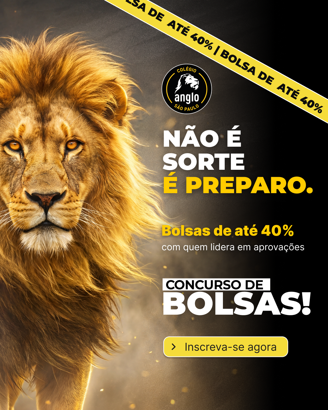 Concurso de Bolsas — Colégio Anglo São Paulo: bolsas de até 40%